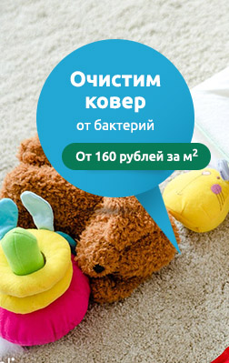 Антибактериальная очистка ковров