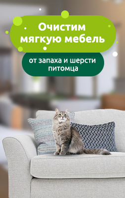 Чистка мебели от запаха и шерсти питомцев
